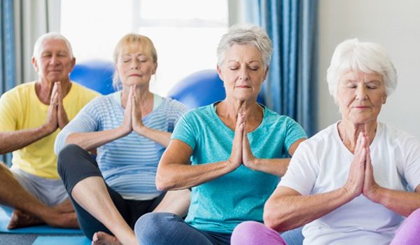 Elderly seniors practicing yoga in Riverside Township of Illinois.